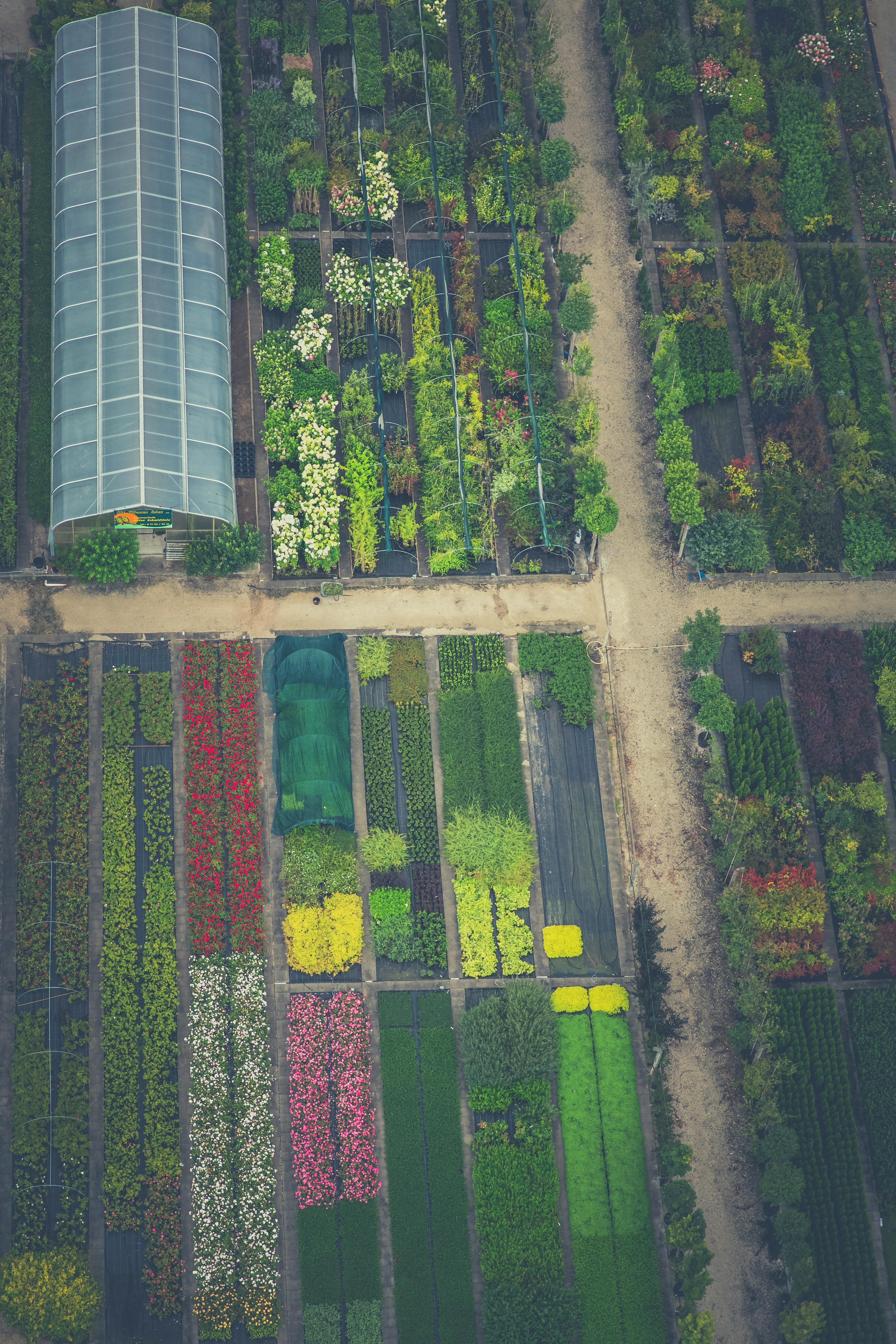 Beispiel der Gartenplanung